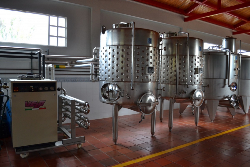 cave-ST PIERRE-min_wine_production_cantine_winery_drink_alcohol_vine_beverage-902036